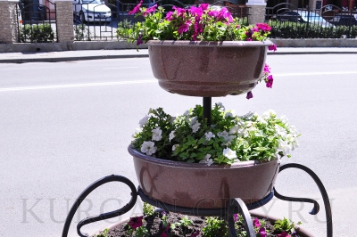 ����� ������� ������� ����� 78 ����� ������