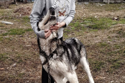 ��������� � ���� ���������� ����������� ������ ������ �� ����� ����������� ������