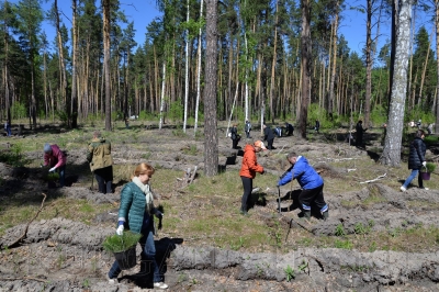 � ���������� ���� �������� ������ ������� �����