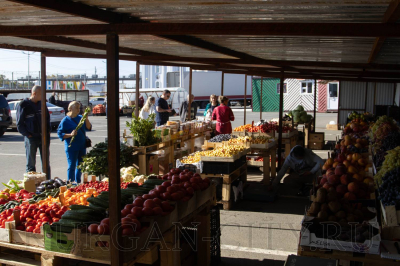 ����� �����. � ������� ����������� �������������������� �������