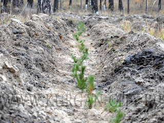 ����, ���!