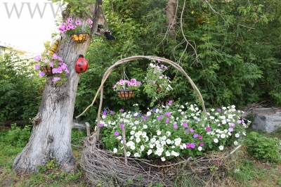 �������, ������ ������!�. ��������� ������ ������������