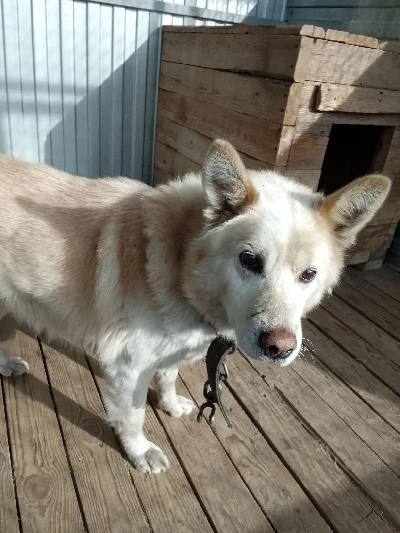 ������ �����