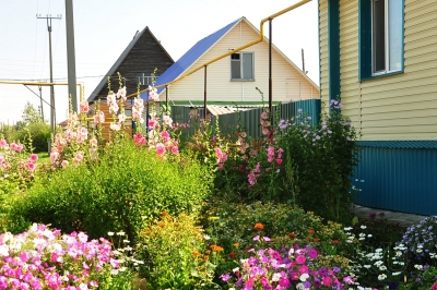 � ������� ��������� ����� ���