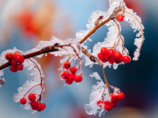 ��������� ����������