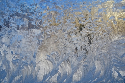 ��������� ��������� �������� ������