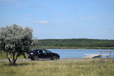 ����� ���������: ���������� �������� ����������� ��������� ����������