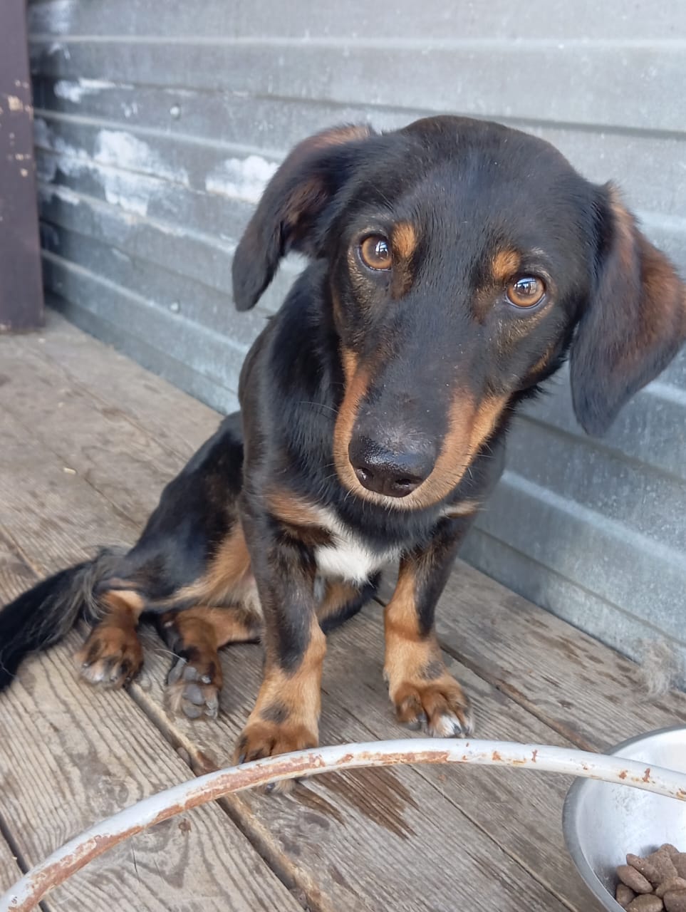 ������ ����