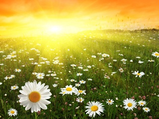  ��������� ���������� ���������������� ���� � �����