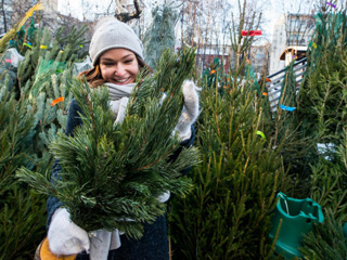 ���� � � ������ ���. � ������� ��������� ���������� ������� 