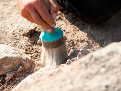 ����� ��������� ���������� �������� 