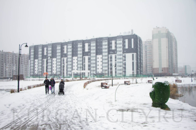 ����� ��������  �������� ������ �� ���������������