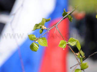 ���� ����� ������. ����� �����������