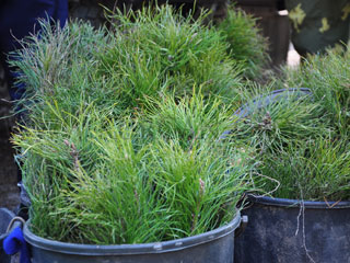 ������������ ������ ��������� � ����������� �������� ��������� ����� �������