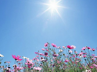 ���������� ������ ������ � 50 ���!