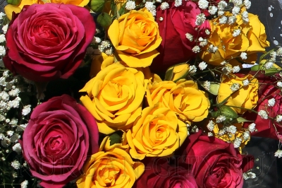 ����� � 8 �����. � ������� �������� ��������������� ��������