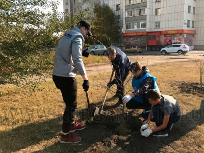 ��������� ����� ������ ���������� ���������� �����������