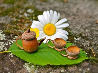 ��������� ����� ������������� ���������