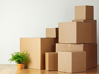 ������ �� ������������� ����������� ����������������� ������������