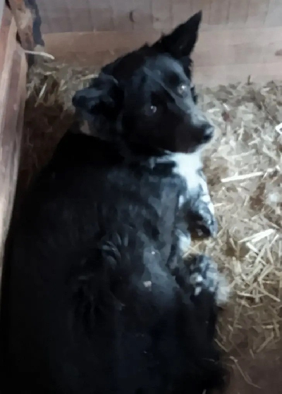 ������ �����