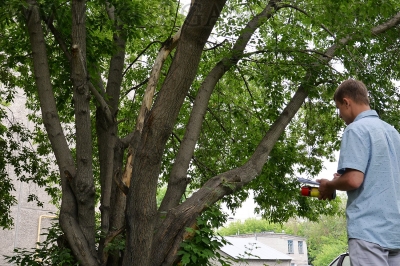 � ������� ������� ������������ �������� �� ���������� � ���������� �������