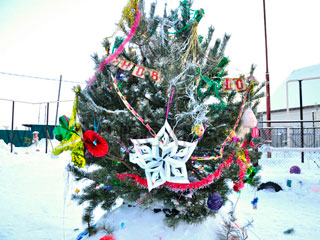 ����������� ����: � ���������� ����� ���������� ��������� ���������� 