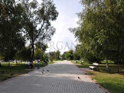 ������������� ���������� ���� ������ �������� ���� ������