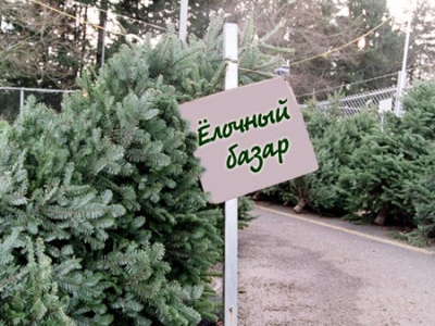 ��� � ����� � ������� ������ ���������� ����? 