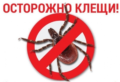 ���������: �����! 