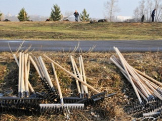 ������ ���� ������� ������