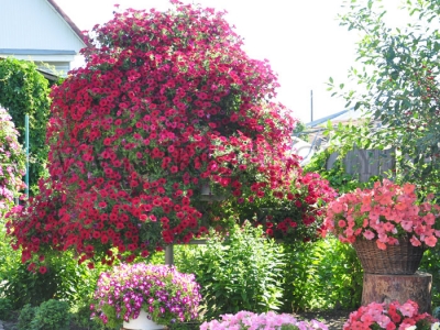 � ������� �������� �������� �� ������ ���������� ����������