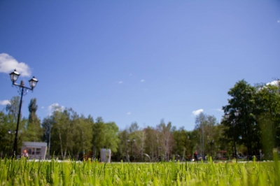 ������� � ������ - ���� ������� �� ���