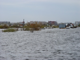 ���������� �� ������ ���� � ������