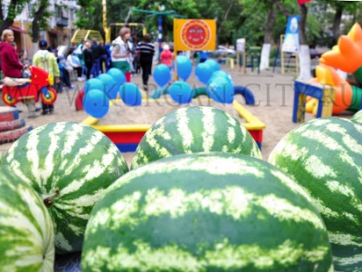 �������� �������� ���� ������