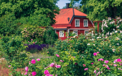 �������� ����� ��� � ��������� ������� ��� ��� ����� �� ������� ��������