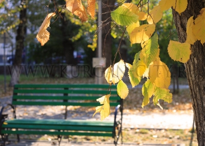 ��������������� ������������ ���������� � ������������ ����������� ������