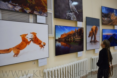 ������������� ������� ����� � �������