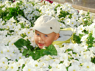 ���� ������ ����� (��������� ���������)