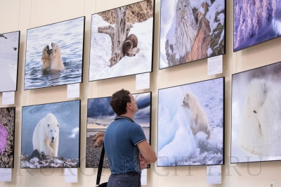 � ������� �������� ��������� ������������� ������� 