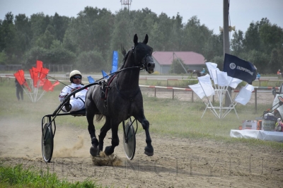 ��������������� ������������. �� ���������� ��������� ����������� ������ ��������� 