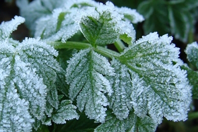 ��������: �������������� ���������