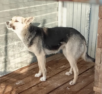 ������ �����