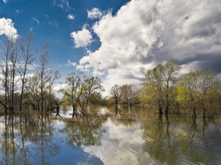 ������������ ������������� ������ ������� ��������� �������: ���������� ���������� �������� ������� � ��������� ������