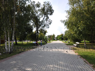 ������ ���������� ��������� ����������� � ��������������� ������