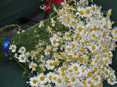 ������ ������������ ����� ������� ��� 