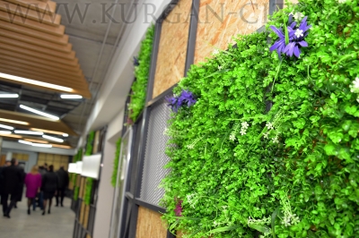 ��������� ���� ���������� ������������� �������������� �������� 