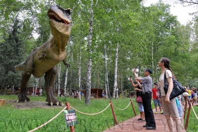 �������� ������ � ����������� ���