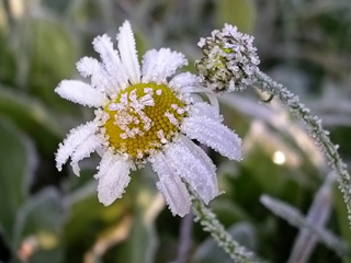 ��������� ����������