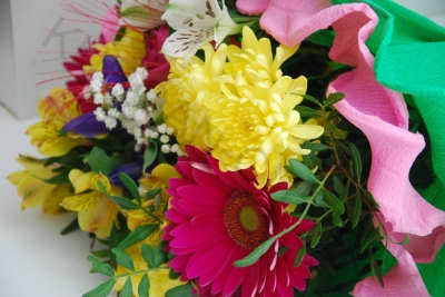 ������ ������ � 55 ���. ����� � 41 ��������� ������