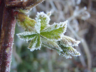 ��������: ���������!